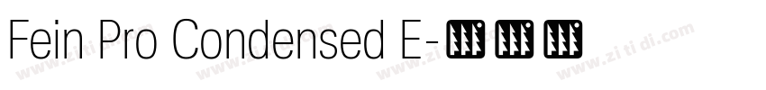 Fein Pro Condensed E字体转换 Fein Pro Condensed E字体转换